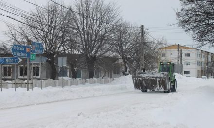 Mobilizare generală la Luncaviţa pentru deszăpezirea comunei