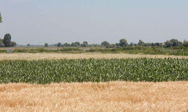 Registrul Agricol Electronic va fi disponibil în Tulcea