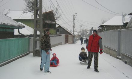 Școlile vor fi închise și astăzi