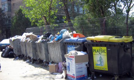 Colectarea selectivă a patru tipuri de deșeuri va fi obligatorie pentru autorități