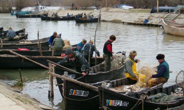 Despre valabilitatea permiselor de pescuit comercial