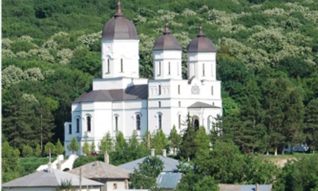 Monografia Mănăstirii Celic Dere la Casa Avramide