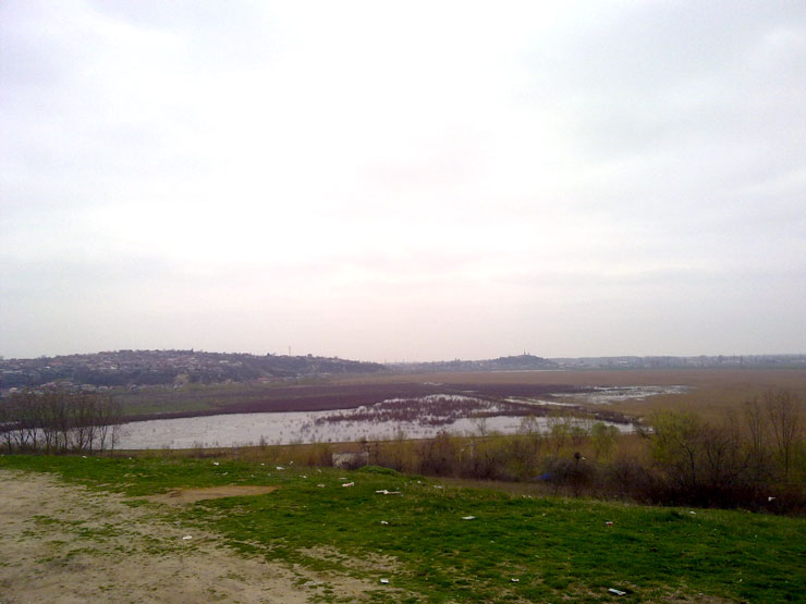 Ce se mai aude despre ecologizarea polderului Zaghen