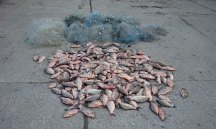 Dezlegarea la peşte i-a legat de dosare penale
