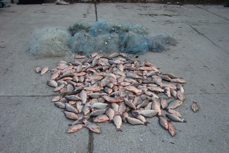 Dezlegarea la peşte i-a legat de dosare penale
