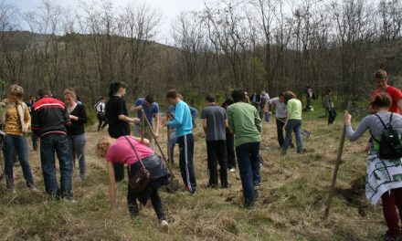 Elevi din Tulcea, la ora de plantat arbori