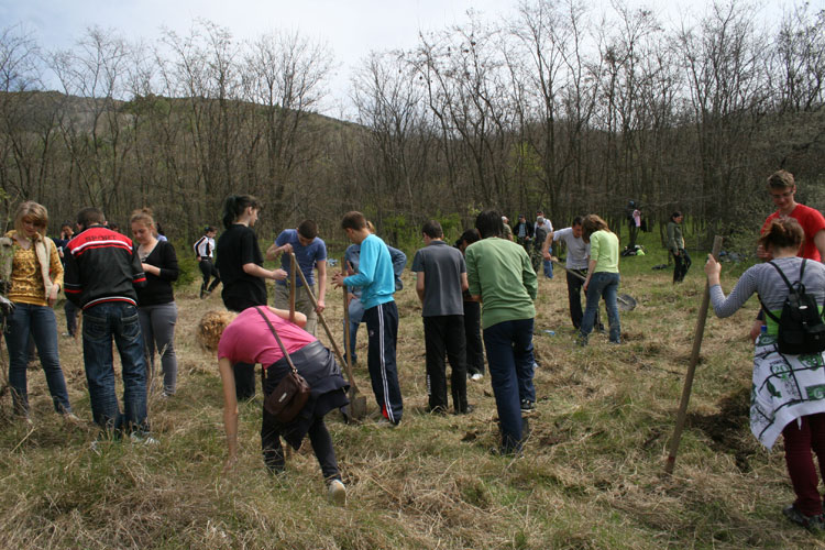 Elevi din Tulcea, la ora de plantat arbori