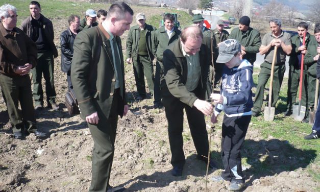 Fosta rampă de gunoi de la Niculiţel, împădurită