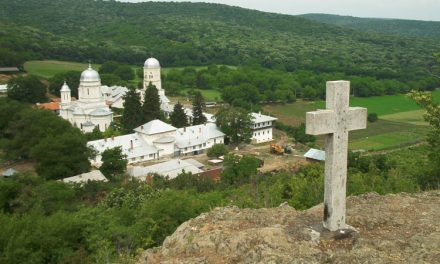 Biserica deține peste 200 de hectare de pădure în Tulcea