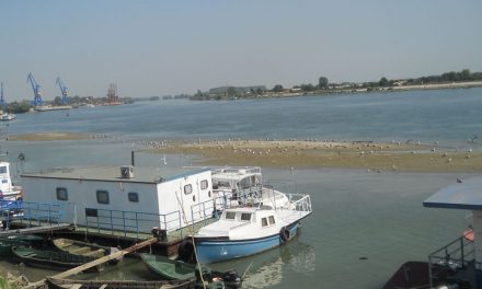 Navale de transport riscă să rămână înnămolite în Portul Tulcea