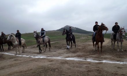 „Coşia din Cerna”, la cea de-a doua ediţie: tradiţionala întrecere a cailor va avea loc de 1 mai