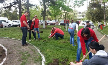Tinerii social-democraţi au plantat puieţi de tei şi frasin în parcul spitalului judeţean