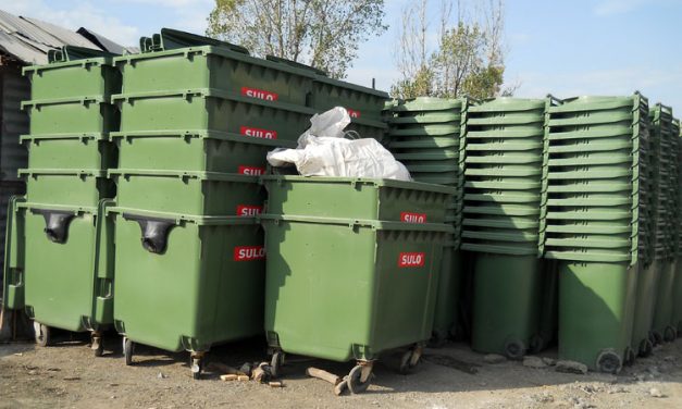 Pubele şi eurocontainere noi pentru tulceni