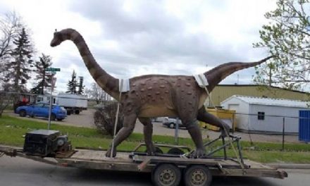 Dinozaurul dacic pitic, în plimbare prin municipiu