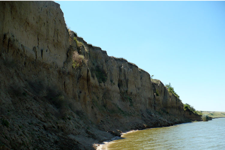 Rămăşiţele unui mamut preistoric, descoperite pe malul Lacului Babadag!