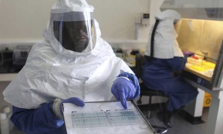 Ebola loveşte Peştişorul de Aur: ansamblurile  a patru ţări africane, oprite la graniţă