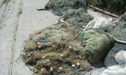 Braconaj la Maliuc: Peste 370 kilograme de peşte  şi 3.180 metri de plasă monofilament confiscate de poliţiştii de frontieră, pe Lacul Gorgova