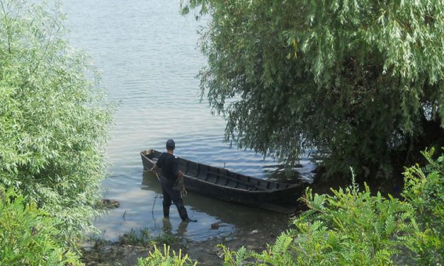 Cadavru recuperat de oamenii legii din apele Dunării, la Sulina