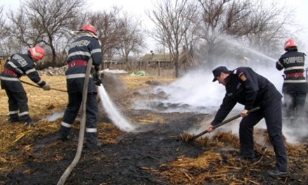 Pompierii tulceni, chemaţi să stingă 187 de incendii la mirişti şi vegetaţie uscată