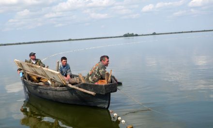 Pescarii din deltă, la cursuri de perfecţionare pe Oceanul Atlantic