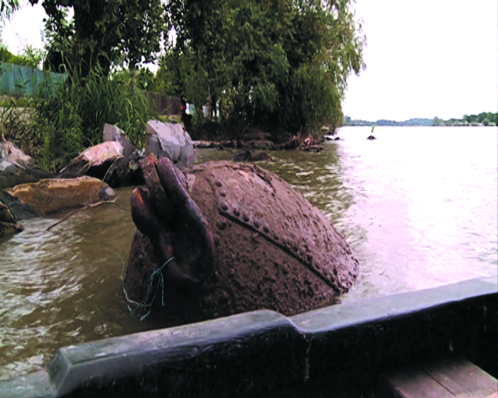 Panică mare pe Dunăre: o geamandură veche, confundată cu o mină marină!