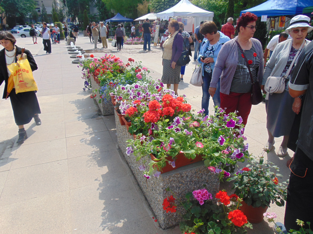 Târgul „Expoflora”, a „înflorit” în Piaţa Civică