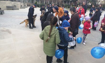 Câinii de serviciu, autospecialele de intervenţie şi armele, principalele atracţii de Ziua Jandarmeriei Române