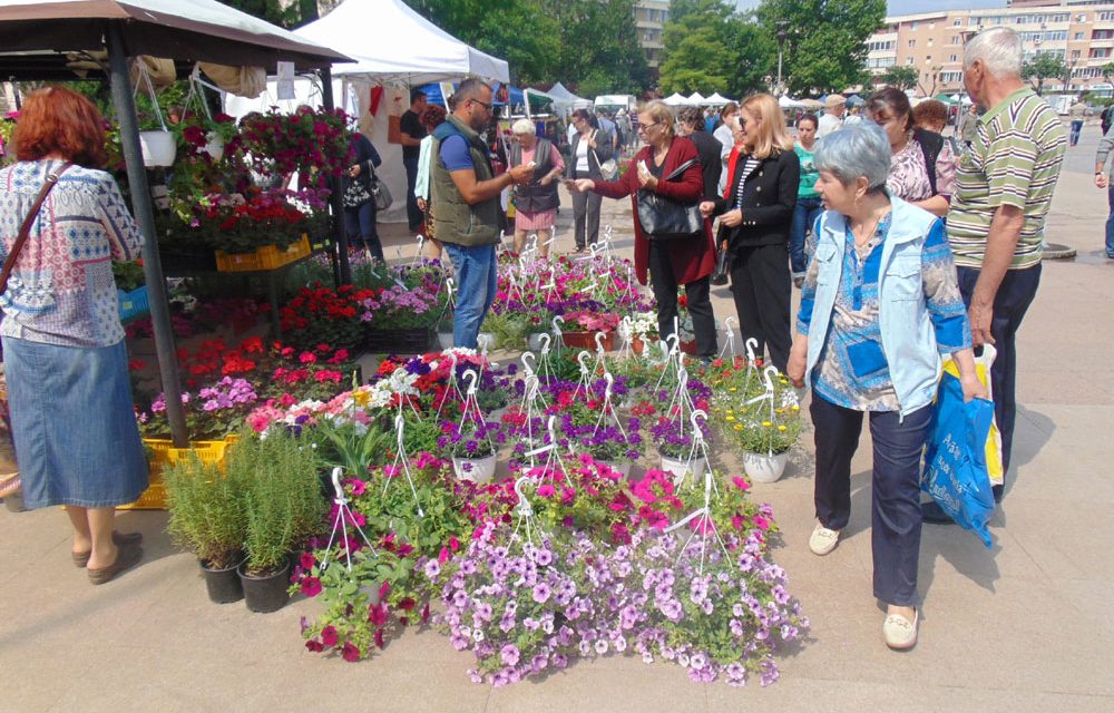 Invazie de flori în Piaţa Civică: tulceni, poftiţi la Expoflora!