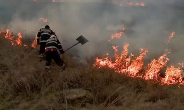 Amenzi în valoare de peste 770.000 lei aplicate anul trecut de comisarii  Gărzii de Mediu