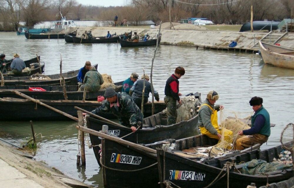 Pescarii comerciali din Deltă se plâng de capturile slabe de peşte