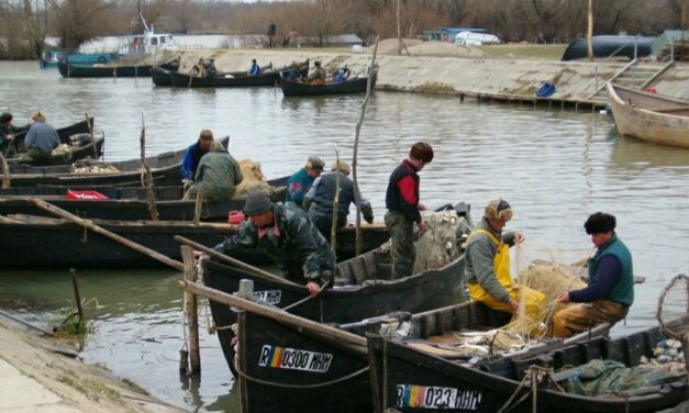 Pescarii comerciali din Deltă se plâng de capturile slabe de peşte