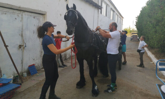 Concursul de echitaţie Working Equitation şi-a deschis porţile la Tulcea
