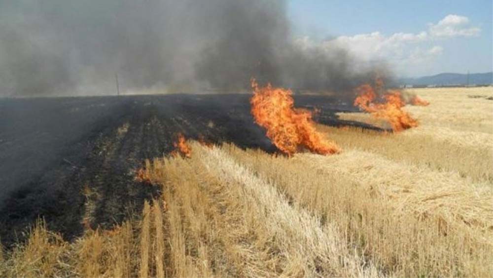 Doi fermieri tulceni, identificaţi de APIA că şi-au ars terenurile