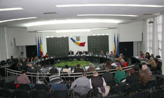 CL Tulcea va avea 9 consilieri PNL, 7 PSD, 2 PER, 2 USR-PLUS şi 1 Pro România