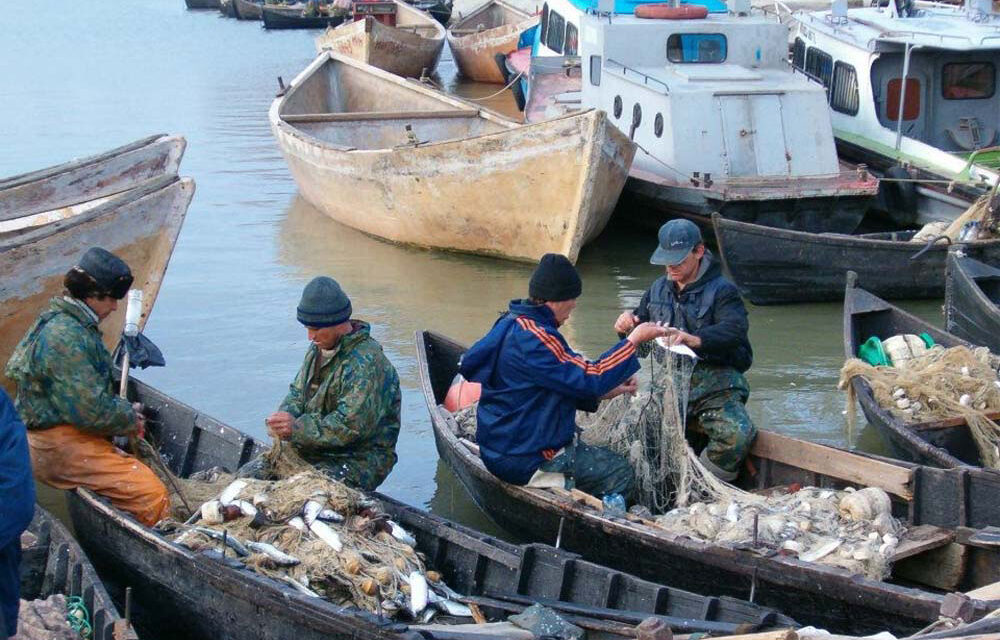 Operatorii turistici din Deltă vor să cumpere peşte direct de la localnici