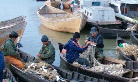 Operatorii turistici din Deltă vor să cumpere peşte direct de la localnici