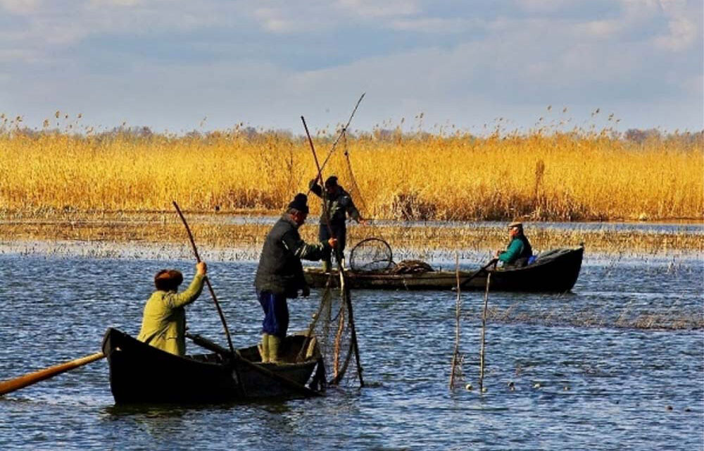 Pescarii comerciali vor introducerea unei taxe de pescuit sportiv în Deltă