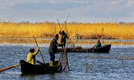 Pescarii comerciali vor introducerea unei taxe de pescuit sportiv în Deltă