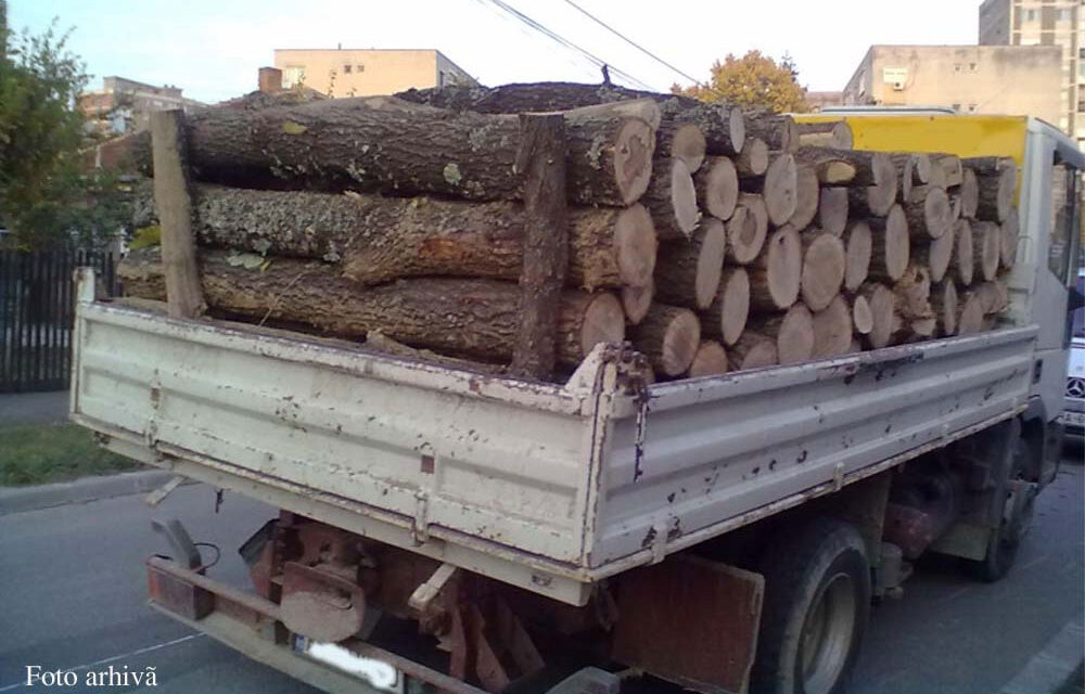 Şeful secţiei de întreţinere domeniu public, prins ducându-şi lemnele acasă cu camionul Primăriei Tulcea