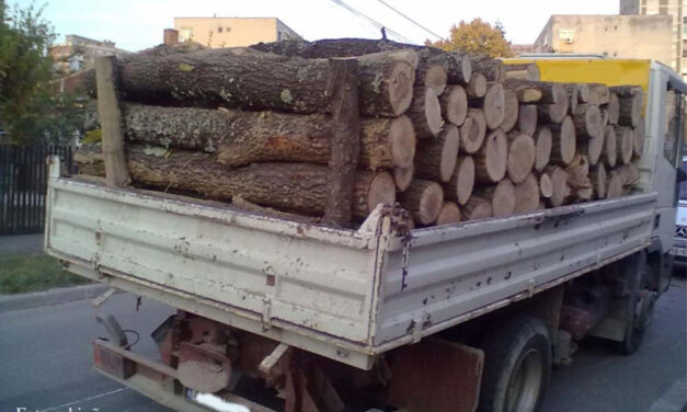 Şeful secţiei de întreţinere domeniu public, prins ducându-şi lemnele acasă cu camionul Primăriei Tulcea