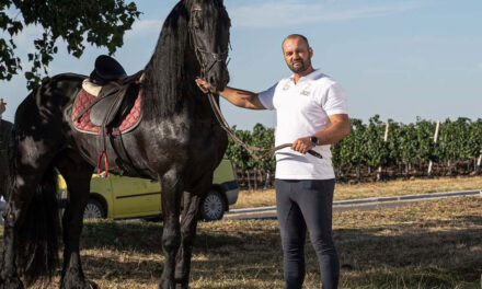 Dr. Ştefan Răileanu: „Prezenţa cailor în viaţa oamenilor poate să fie sport, terapie şi spectacol”