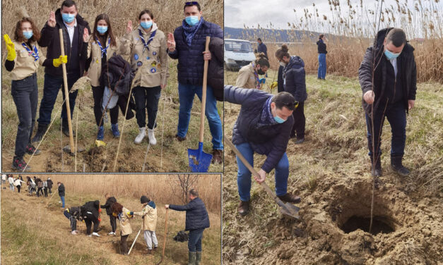 O sută de puieţi de salcie, plantaţi de voluntari în zona Zaghen