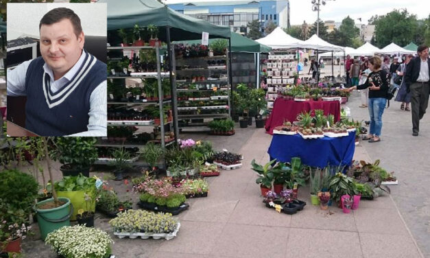 Florile răsar din nou în Piaţa Civică: tulceni, poftiţi la Expoflora!