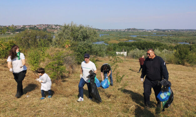 Promenada din zona Zaghen a fost ecologizată: intrarea în municipiu va cuprinde logo-ul „Tulcea, armonie”