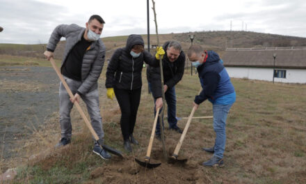 Acţiune de plantare la Satul Pescăresc: 500 de arbori vor prinde rădăcini