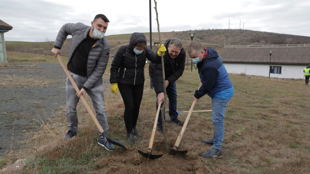 Acţiune de plantare la Satul Pescăresc: 500 de arbori vor prinde rădăcini