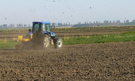 Fermierii tulceni au prins gustul cooperativelor agricole