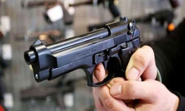 Aproape 900 de tulceni deţin peste 1700 de arme letale