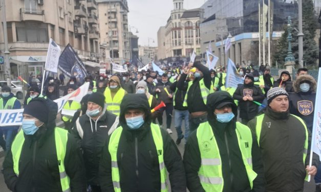 Poliţiştii tulceni au protestat în faţa Guvernului