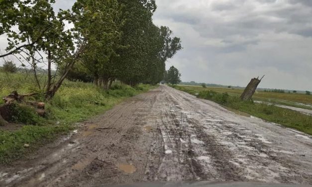 Autorităţile judeţene cer bani Guvernului pentru repararea şi întreţinerea drumului spre Chilia Veche